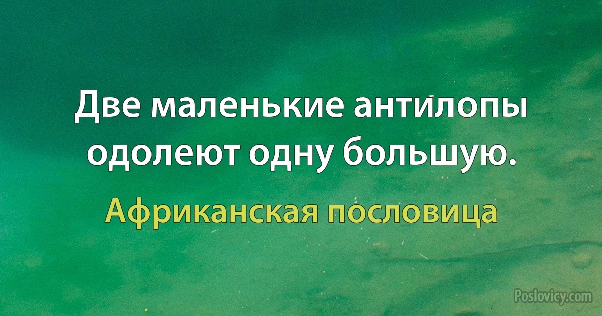 Две маленькие антилопы одолеют одну большую. (Африканская пословица)