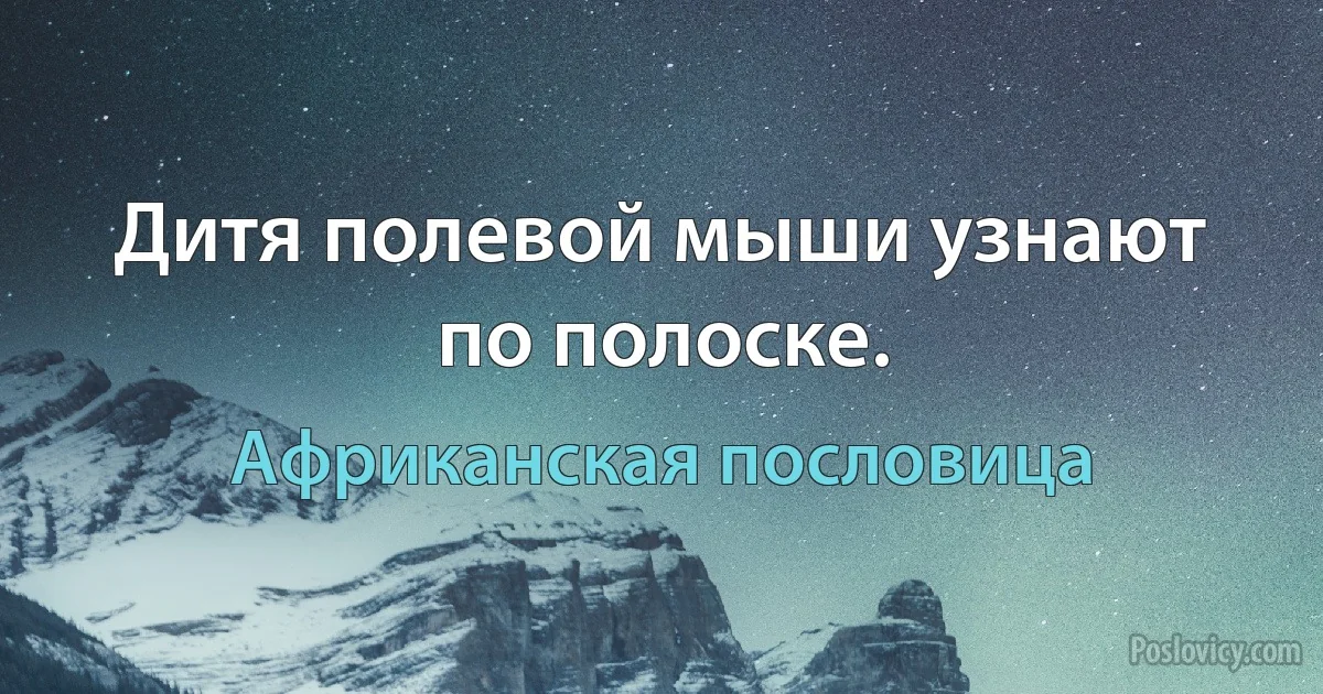 Дитя полевой мыши узнают по полоске. (Африканская пословица)