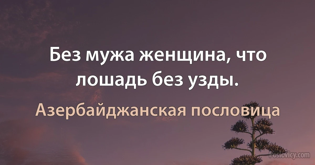 Без мужа женщина, что лошадь без узды. (Азербайджанская пословица)