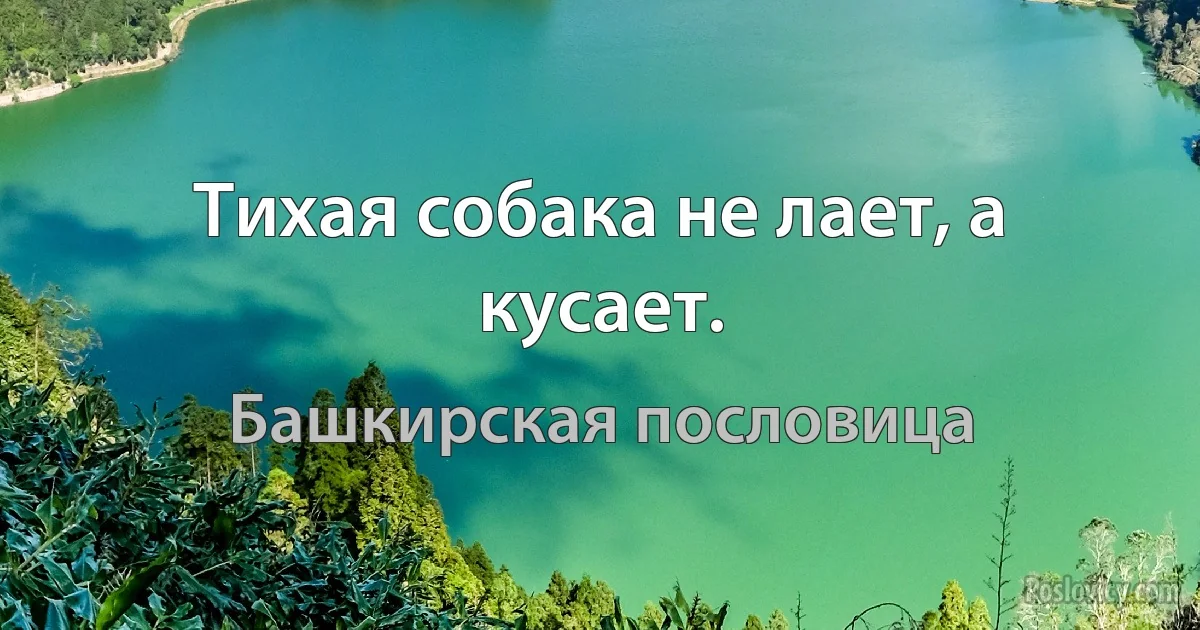 Тихая собака не лает, а кусает. (Башкирская пословица)