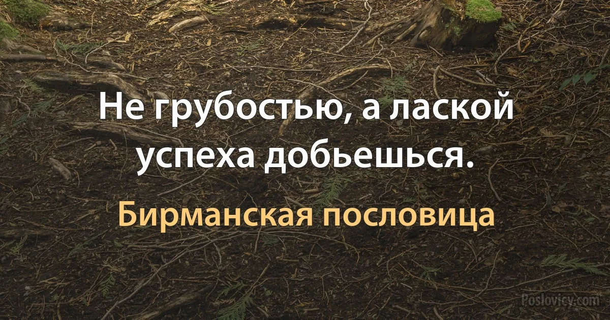 Не грубостью, а лаской успеха добьешься. (Бирманская пословица)