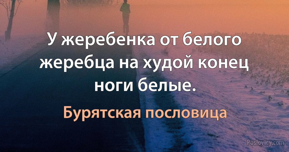 У жеребенка от белого жеребца на худой конец ноги белые. (Бурятская пословица)