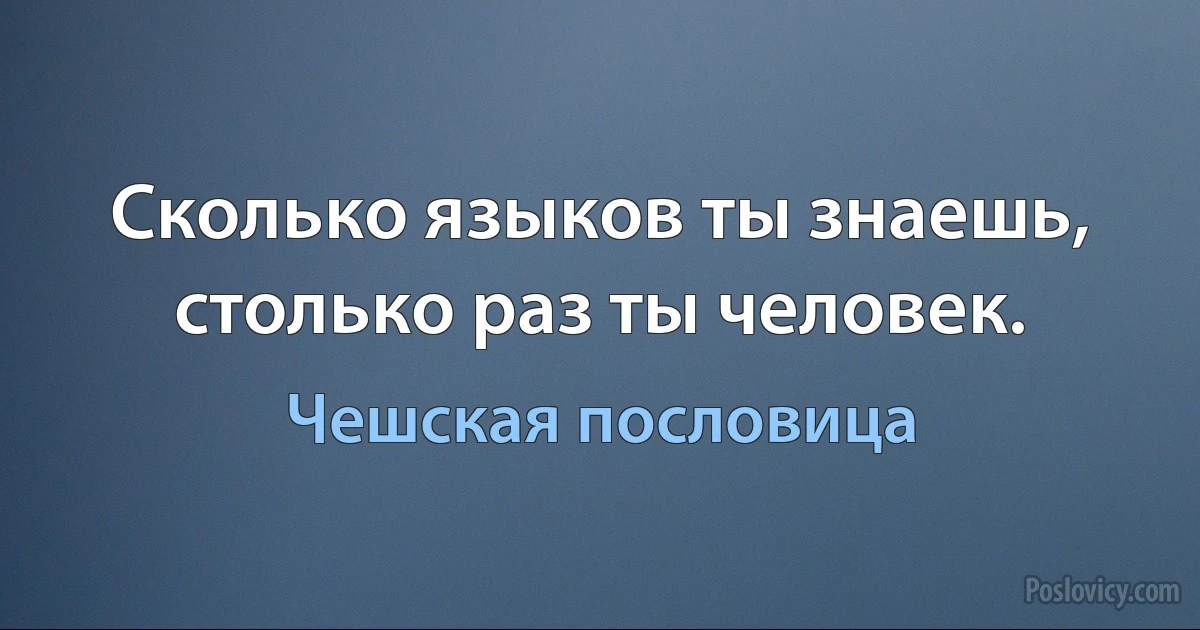 Сколько языков ты знаешь, столько раз ты человек. (Чешская пословица)