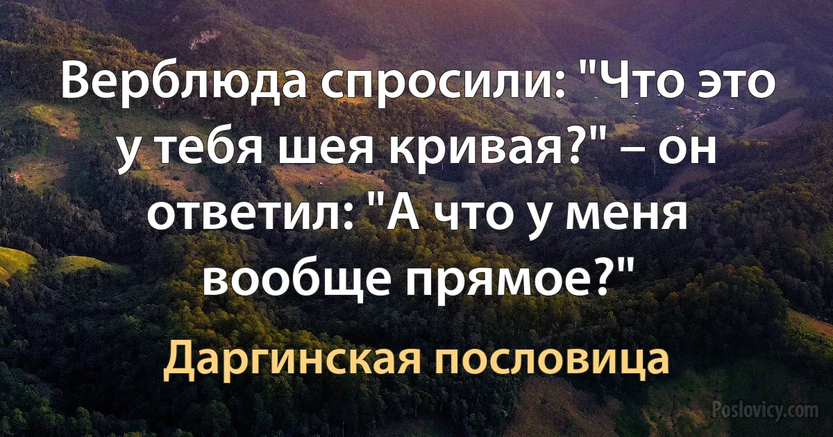 Верблюда спросили: "Что это у тебя шея кривая?" – он ответил: "А что у меня вообще прямое?" (Даргинская пословица)