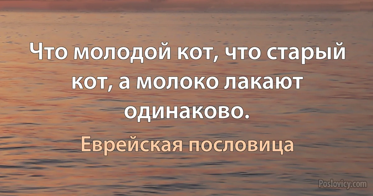 Что молодой кот, что старый кот, а молоко лакают одинаково. (Еврейская пословица)