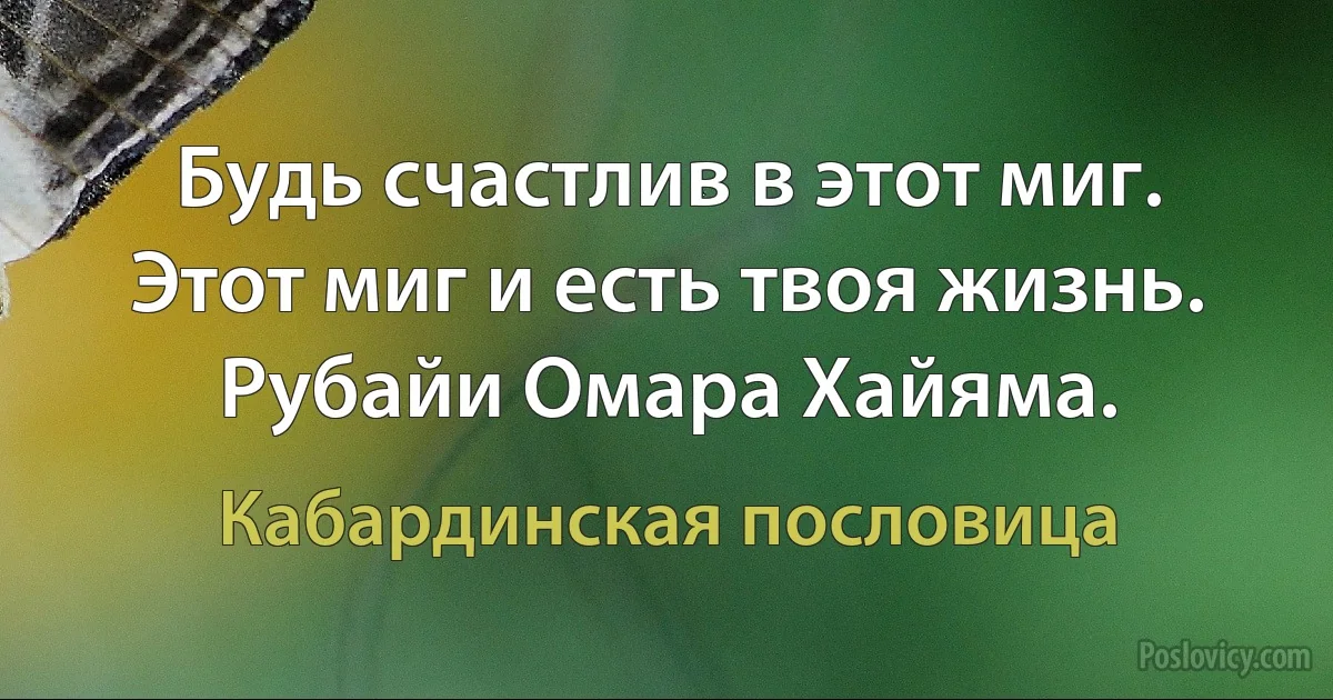 Будь счастлив в этот миг. Этот миг и есть твоя жизнь.
Рубайи Омара Хайяма. (Кабардинская пословица)