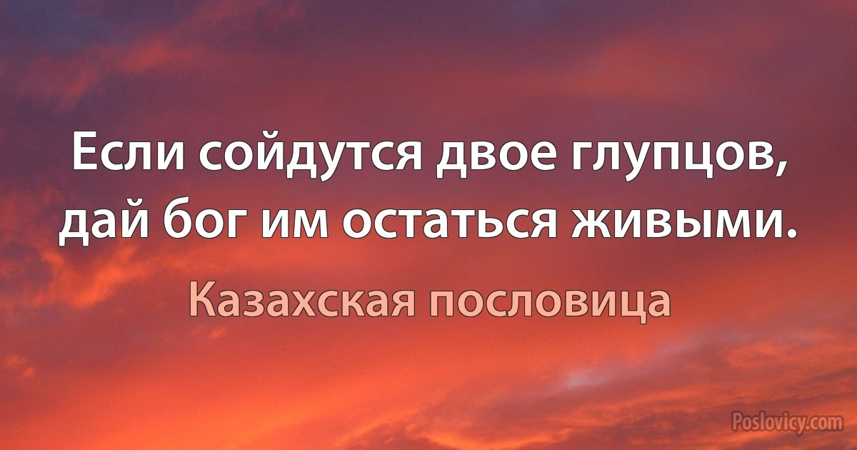 Если сойдутся двое глупцов, дай бог им остаться живыми. (Казахская пословица)