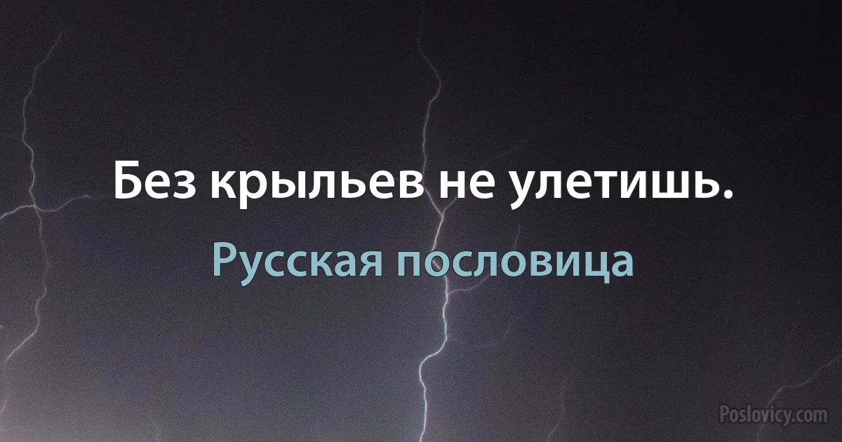 Без крыльев не улетишь. (Русская пословица)