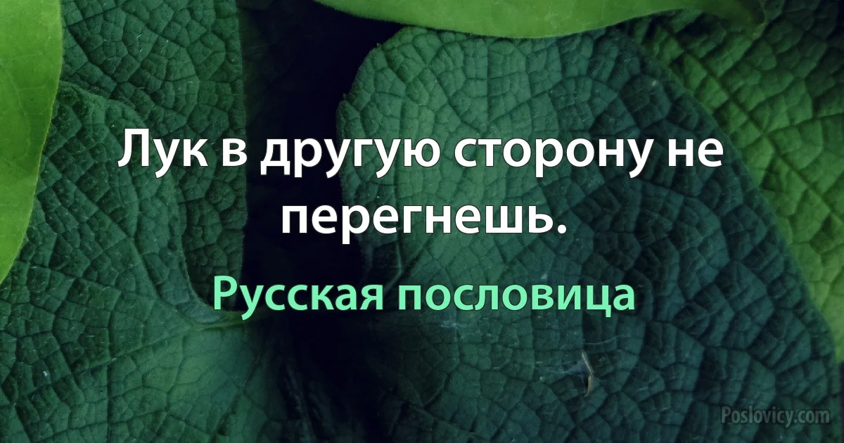 Лук в другую сторону не перегнешь. (Русская пословица)