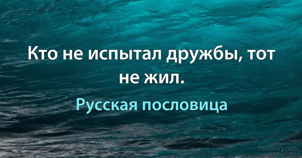 Кто не испытал дружбы, тот не жил. (Русская пословица)