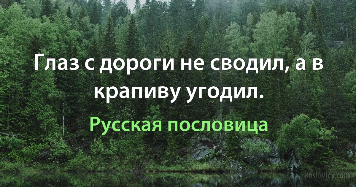 Глаз с дороги не сводил, а в крапиву угодил. (Русская пословица)