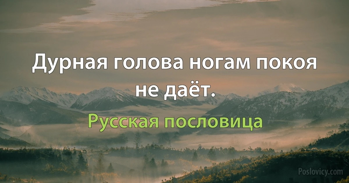 Дурная голова ногам покоя не даёт. (Русская пословица)