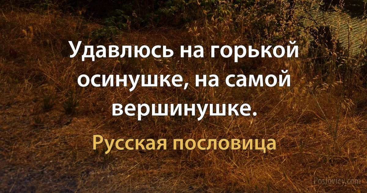 Удавлюсь на горькой осинушке, на самой вершинушке. (Русская пословица)