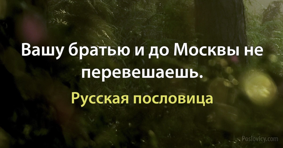 Вашу братью и до Москвы не перевешаешь. (Русская пословица)