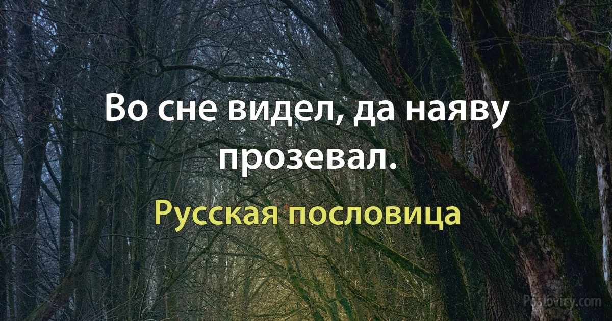 Во сне видел, да наяву прозевал. (Русская пословица)