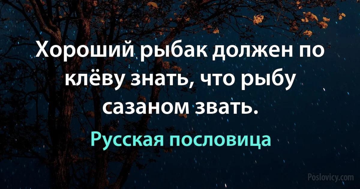 Хороший рыбак должен по клёву знать, что рыбу сазаном звать. (Русская пословица)