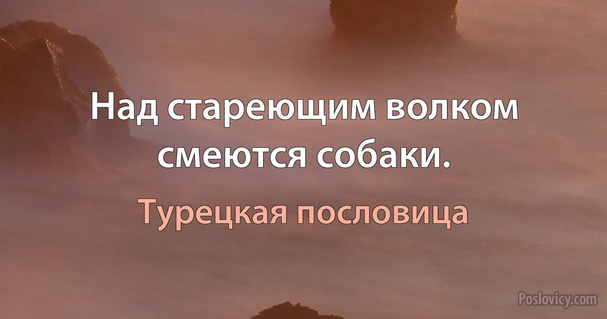 Над стареющим волком смеются собаки. (Турецкая пословица)