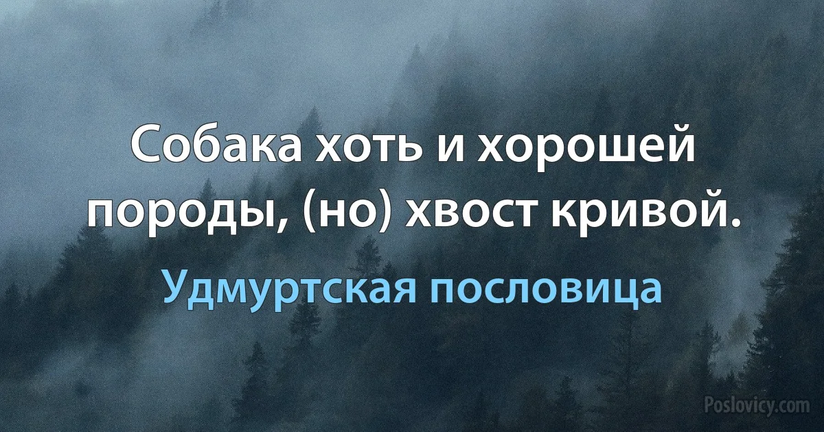 Собака хоть и хорошей породы, (но) хвост кривой. (Удмуртская пословица)