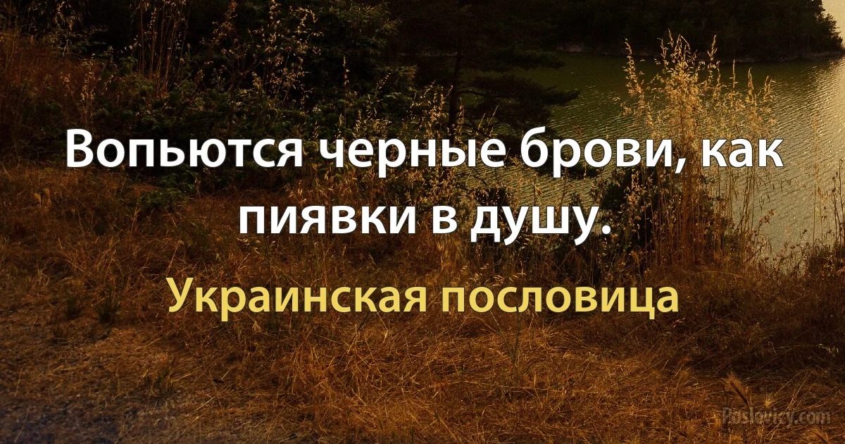 Вопьются черные брови, как пиявки в душу. (Украинская пословица)