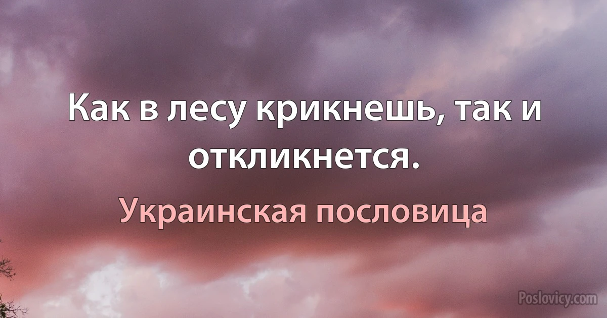 Как в лесу крикнешь, так и откликнется. (Украинская пословица)