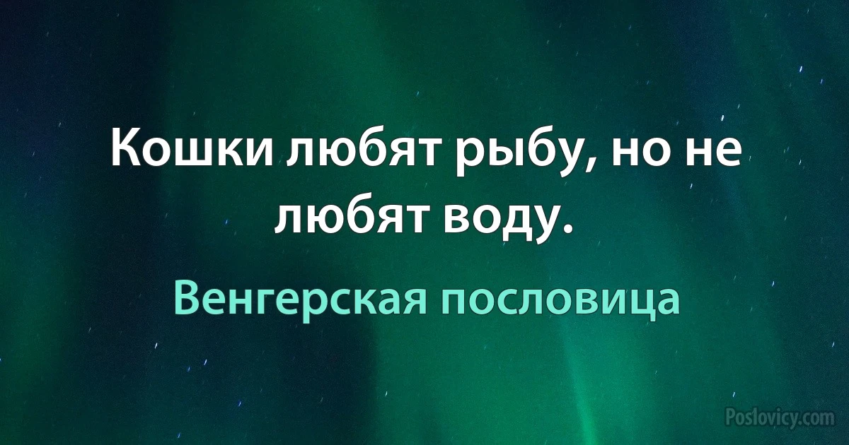 Кошки любят рыбу, но не любят воду. (Венгерская пословица)