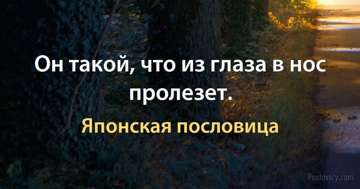 Он такой, что из глаза в нос пролезет. (Японская пословица)