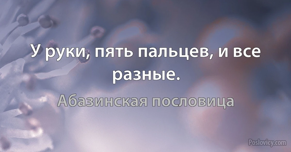 У руки, пять пальцев, и все разные. (Абазинская пословица)