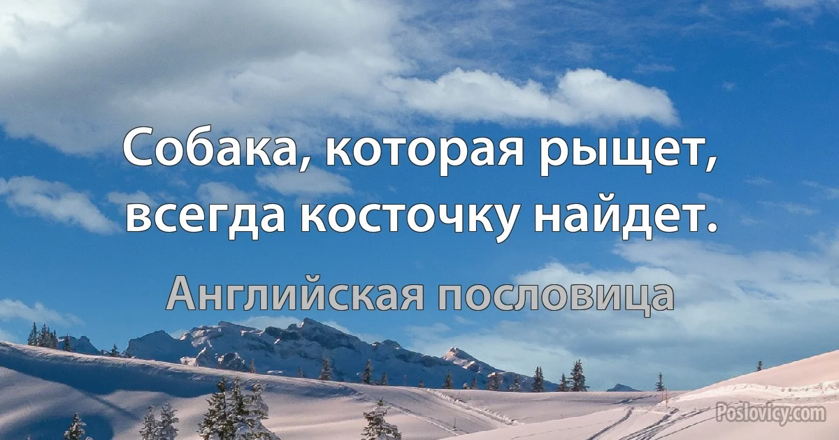 Собака, которая рыщет, всегда косточку найдет. (Английская пословица)