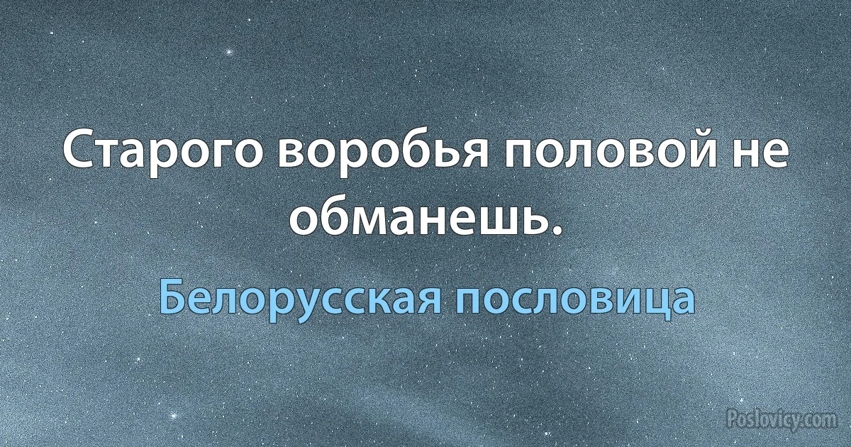 Старого воробья половой не обманешь. (Белорусская пословица)