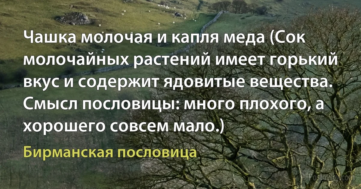 Чашка молочая и капля меда (Сок молочайных растений имеет горький вкус и содержит ядовитые вещества. Смысл пословицы: много плохого, а хорошего совсем мало.) (Бирманская пословица)