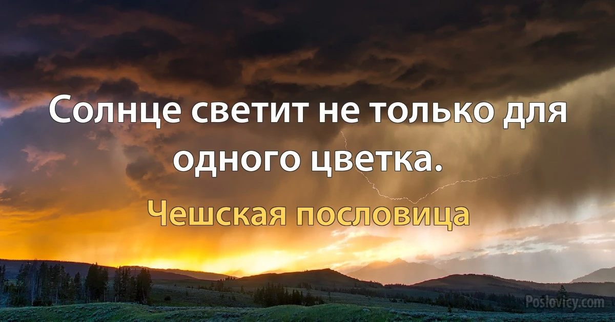 Солнце светит не только для одного цветка. (Чешская пословица)