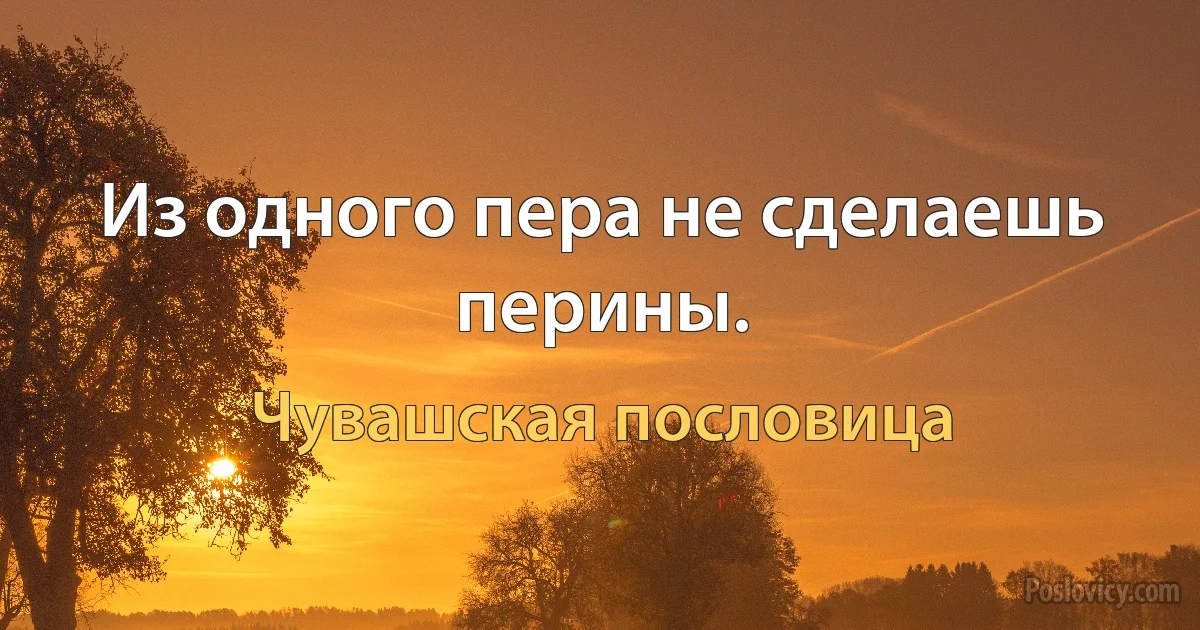 Из одного пера не сделаешь перины. (Чувашская пословица)