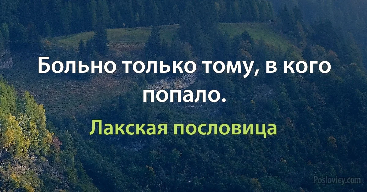 Больно только тому, в кого попало. (Лакская пословица)