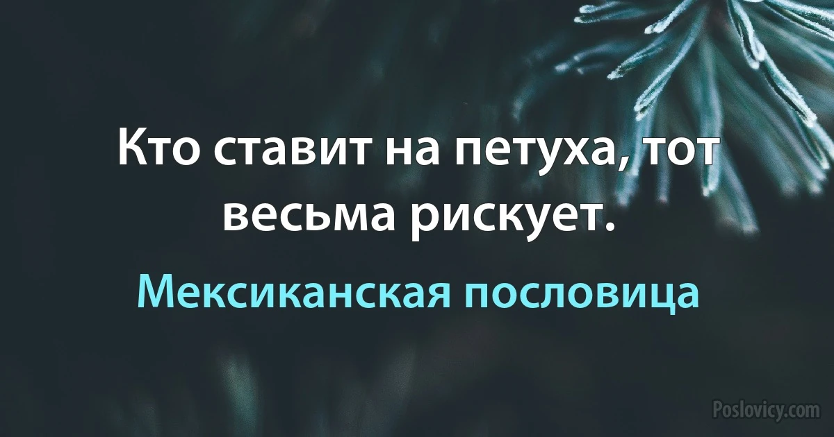 Кто ставит на петуха, тот весьма рискует. (Мексиканская пословица)