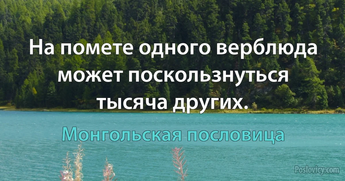 На помете одного верблюда может поскользнуться тысяча других. (Монгольская пословица)