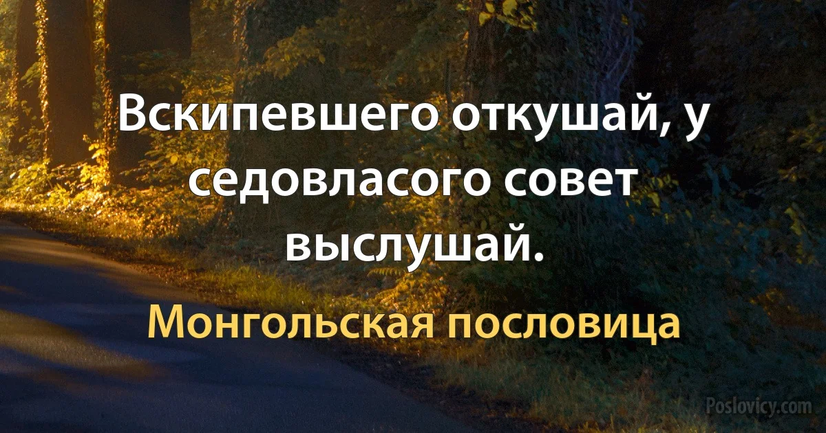 Вскипевшего откушай, у седовласого совет выслушай. (Монгольская пословица)