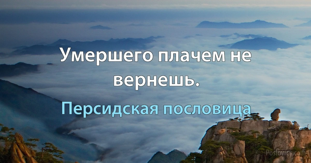 Умершего плачем не вернешь. (Персидская пословица)