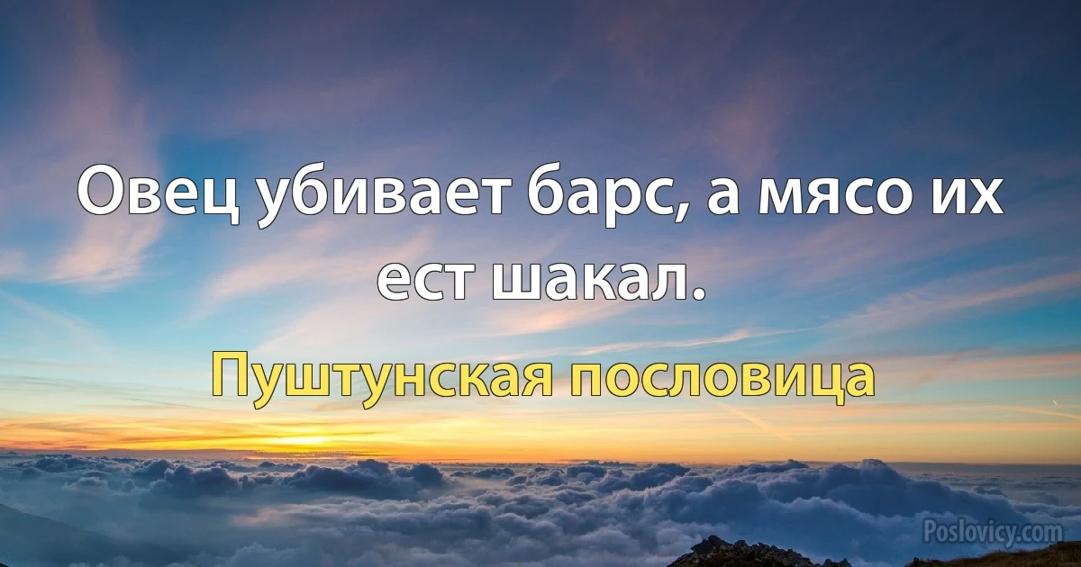 Овец убивает барс, а мясо их ест шакал. (Пуштунская пословица)