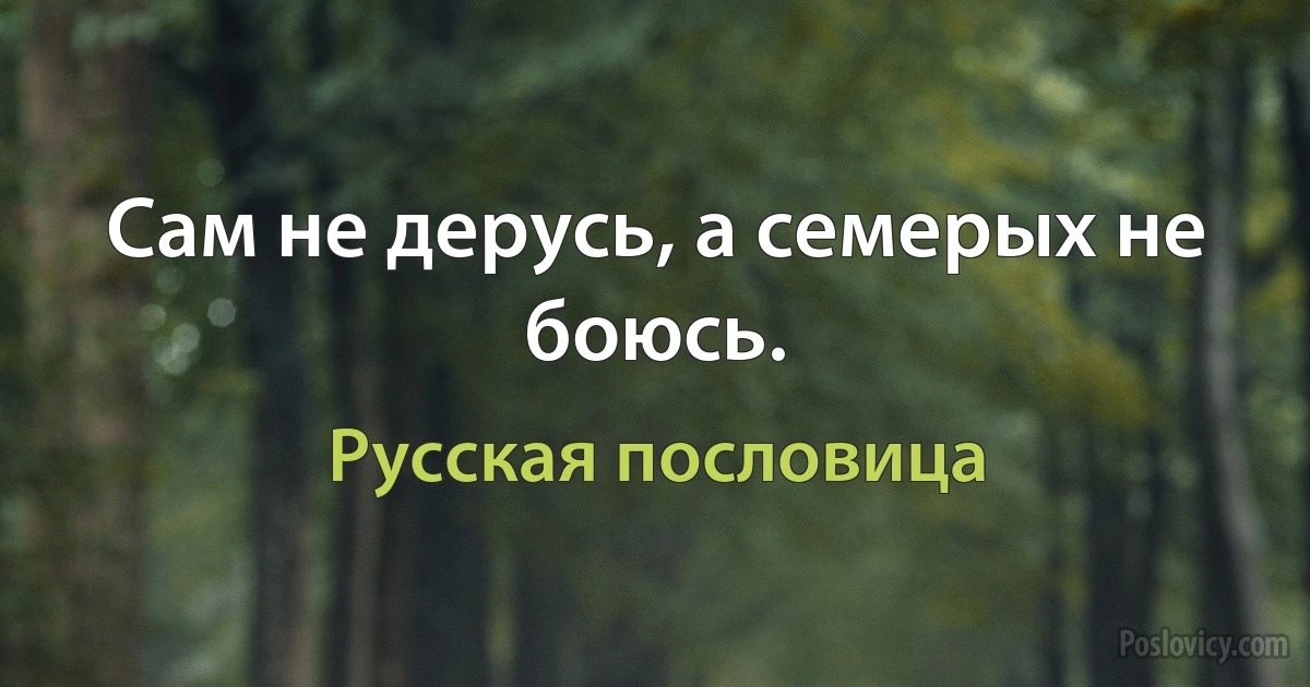 Сам не дерусь, а семерых не боюсь. (Русская пословица)