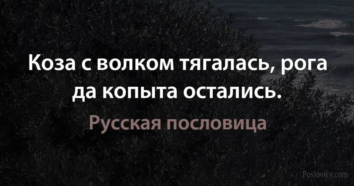 Коза с волком тягалась, рога да копыта остались. (Русская пословица)