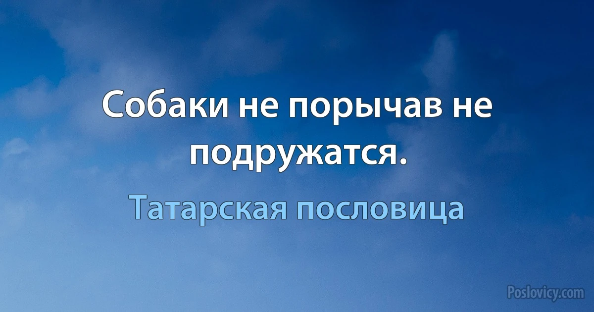 Собаки не порычав не подружатся. (Татарская пословица)