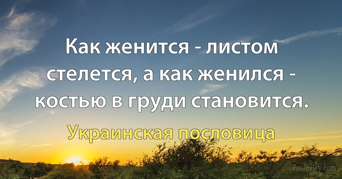 Как женится - листом стелется, а как женился - костью в груди становится. (Украинская пословица)