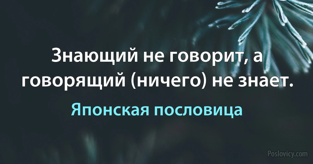 Знающий не говорит, а говорящий (ничего) не знает. (Японская пословица)