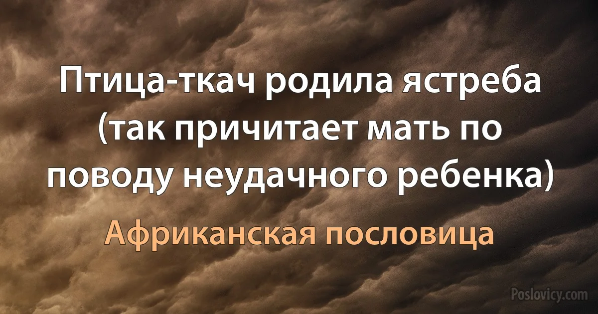 Птица-ткач родила ястреба (так причитает мать по поводу неудачного ребенка) (Африканская пословица)