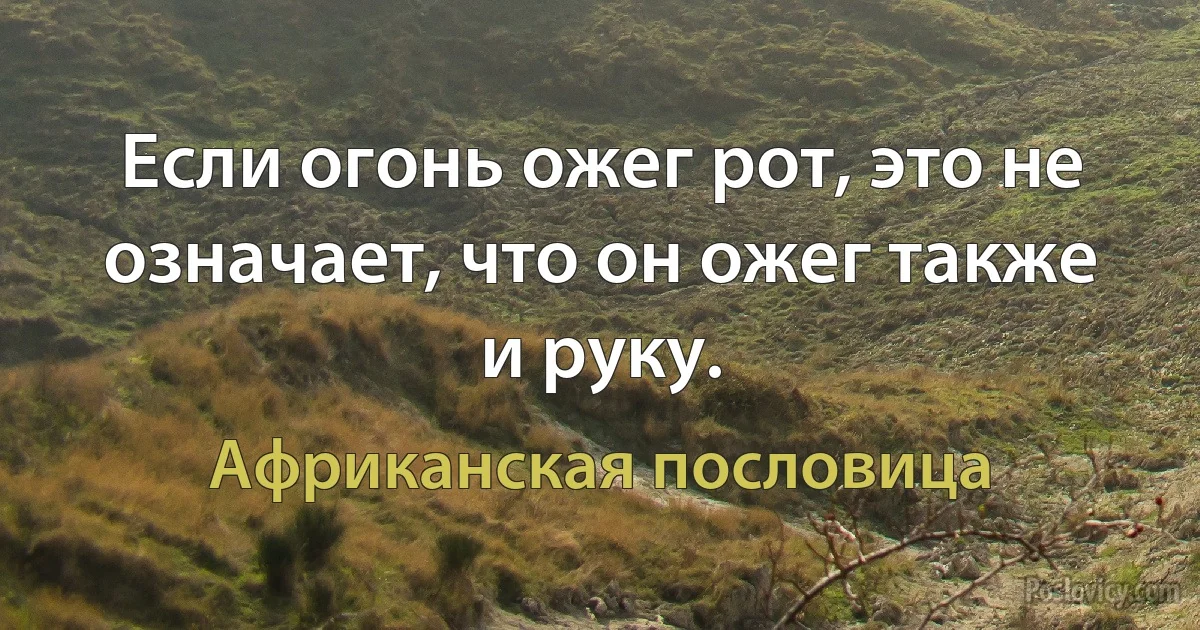 Если огонь ожег рот, это не означает, что он ожег также и руку. (Африканская пословица)