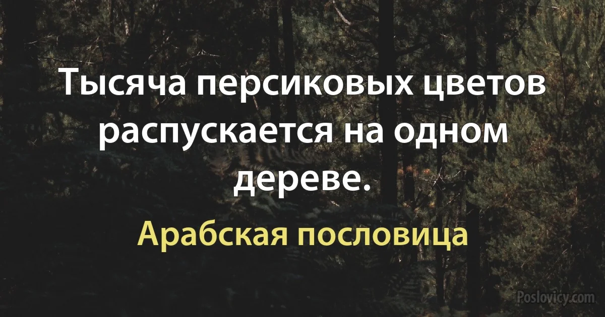 Тысяча персиковых цветов распускается на одном дереве. (Арабская пословица)