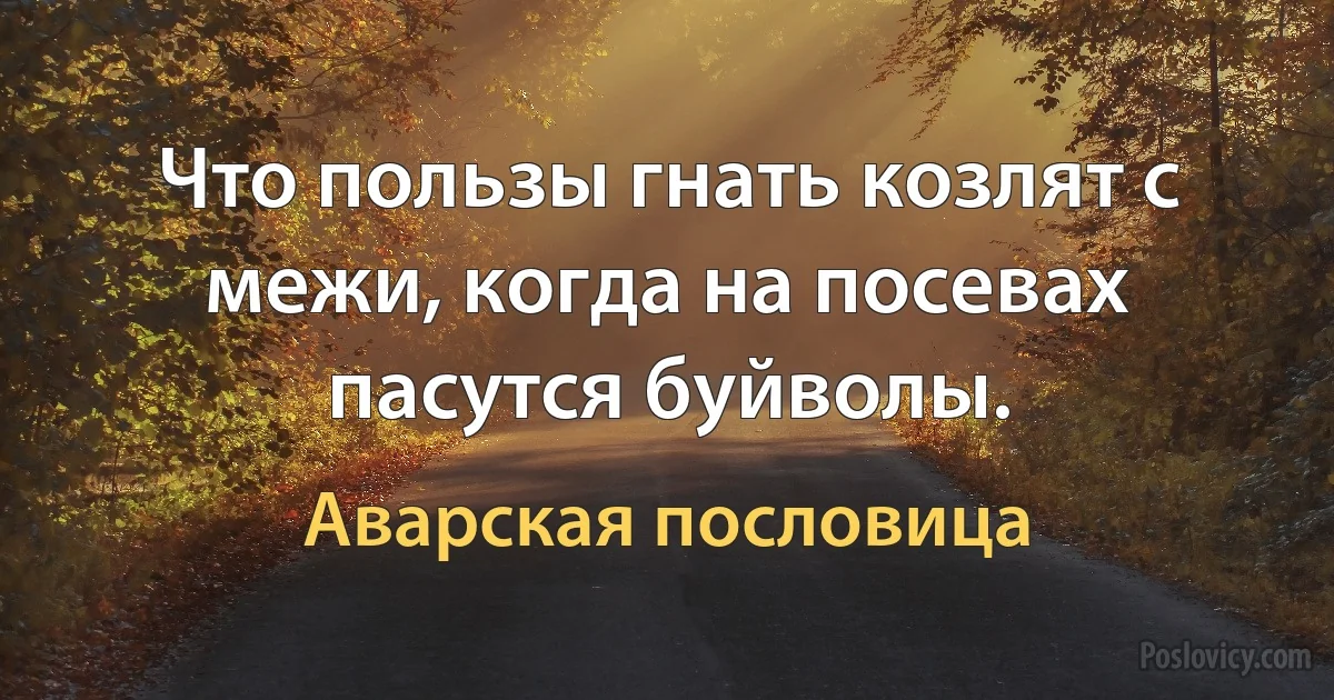 Что пользы гнать козлят с межи, когда на посевах пасутся буйволы. (Аварская пословица)