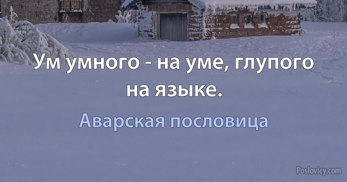 Ум умного - на уме, глупого на языке. (Аварская пословица)