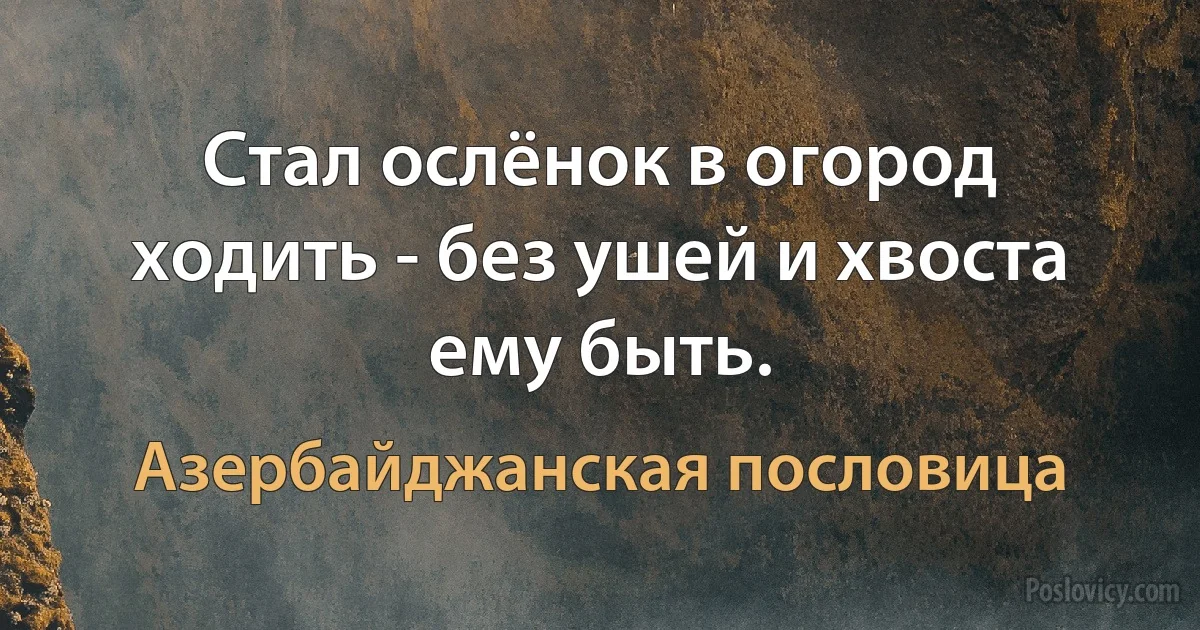 Стал ослёнок в огород ходить - без ушей и хвоста ему быть. (Азербайджанская пословица)