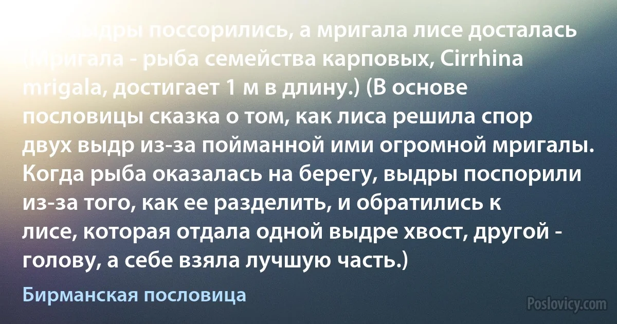 Две выдры поссорились, а мригала лисе досталась (Мригала - рыба семейства карповых, Cirrhina mrigala, достигает 1 м в длину.) (В основе пословицы сказка о том, как лиса решила спор двух выдр из-за пойманной ими огромной мригалы. Когда рыба оказалась на берегу, выдры поспорили из-за того, как ее разделить, и обратились к лисе, которая отдала одной выдре хвост, другой - голову, а себе взяла лучшую часть.) (Бирманская пословица)